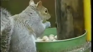 funny moment