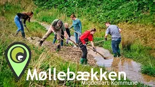 A Regenerative Journey: How Volunteers Helped Revive Møllebækken in Middelfart, Fyn.