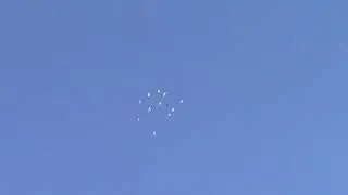 Пермские голуби.