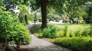 Bezoek aan de UGent Plantentuin - een gids voor plantenliefhebbers