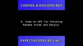 coding a discord bot *expectations* be like...
