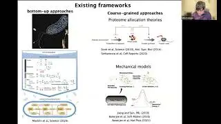 Shiladitya Banerjee: Dynamic Energy Allocation Theory