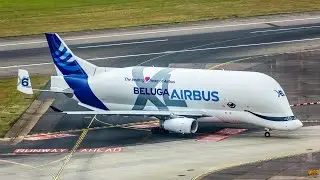 The Airbus BelugaXL's journey at Heathrow