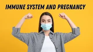 Immune system and pregnancy #doctorberezovska #olenaberezovska #pregnancy #immune_system