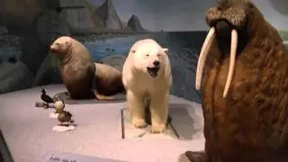 Great Plains Zoo Delbridge Museum Tour - Zoo Review