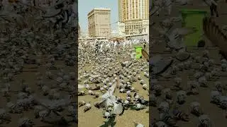 Makkah | Saudi Arabia 