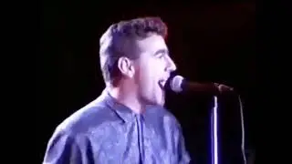 The Cockroaches Live at the Brisbane Expo Clippings (1988)