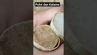 Pulut dan Kalame