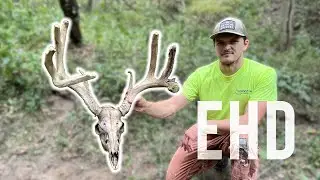 Found Hitlist Buck & 13 Point // EHD Sucks