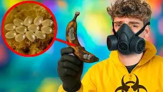 ⚠️I Believe in a Dangerous Ecosystem of Microscopic Bacteria⚠️