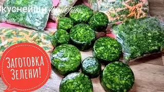 ЩАВЕЛЬ зимой больше НЕ ПОКУПАЮ! 4 лучших способа заготовки щавеля НА ЗИМУ!