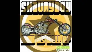 Shaunyboy - Mad As Hell (Original Mix)