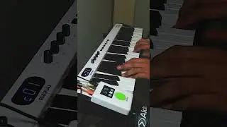 MidiPlus miniEngine Pro + MidiPlus X4 mini