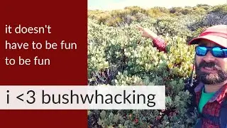 Bushwhack SOTA: It doesn't have to be fun to be fun