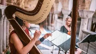 Harp   Für Elise
