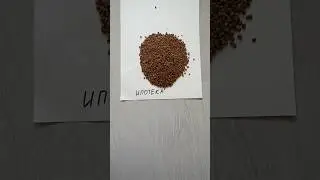 Когда внес 1й платеж по ипотеке 😜 