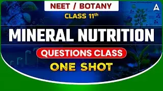 NEET 2023 | BOTANY MINERAL NUTRITION QUESTIONS CLASS | NEET BOTANY ONE SHOT | BOTANY SANKALP BHARAT