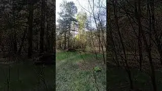 Присмотритесь и увидете суслика #nature