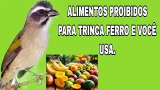 ALIMENTOS PROIBIDOS PARA TRINCA FERRO E VOCÊ USA.