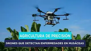Agricultura de precisión