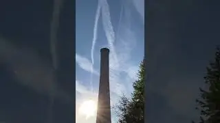 Lots to see- the squirrel and the chimney