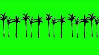 Palm Trees Row | Free Green Screen Video