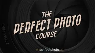 The Perfect Photo Company with Frank Minghella