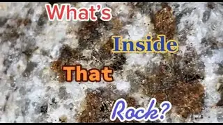 Some spooky minerals for Halloween! #geology #rock #minerals #crystals #halloween #youtubeshorts
