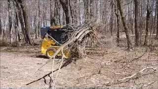 Berlon Root Grapple (Part 1)