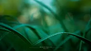 I'm trying to make cinematic video