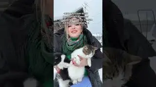 Слышу старой песни мотив... 