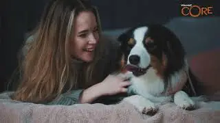 Wellness Core для взрослых собак средних и крупных пород из лосося с тунцом