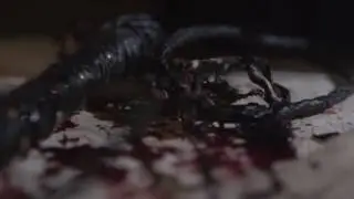 До того как Бог пришёл