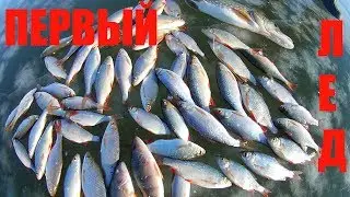 Ловля плотвы на манку | Ловля плотвы на кукурузные палочки на зимний поплавок.