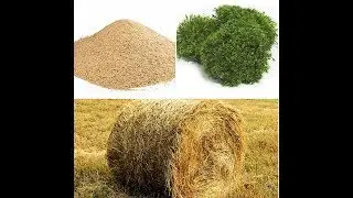 Картошка под соломой, мхом или опилками. Что лучше?