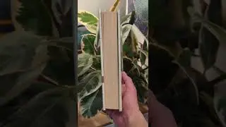 new book for the new year