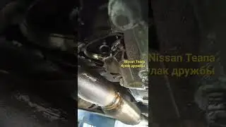 Nissan Teana кулак дружбы