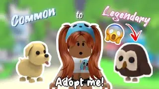 COMMON To LEGENDARY | Adopt me! | Roblox | Valentina Avery |