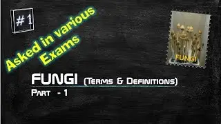 FUNGI -1 | Definitions and description of Fungi related terms | Asked in Various exams
