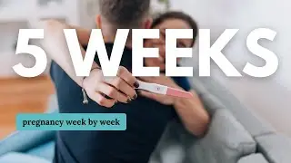 5 Weeks Pregnant 🤰 What to Expect: Changes for You & Baby Development