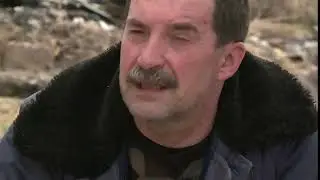 почём бензин
