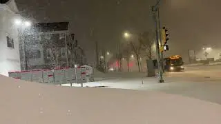 Edmonton Winter Wonderland: Capturing the Majestic Blizzard Unleashing Its Beauty!