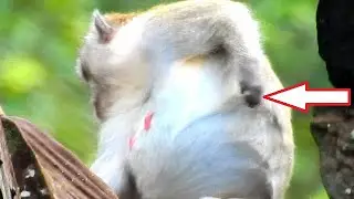 Pregnant mom Jane can't control her baby inside moving , She try to catch outside baby for warming