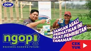 RAHASIA SUKSES PEMBIBITAN LANGSUNG DARI PAKARNYA - NGOPI #1