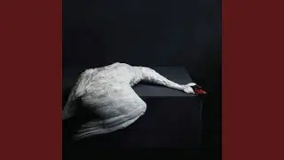 A Solitary Reign