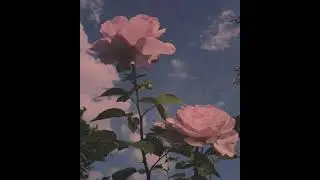 Giveon and The weeknd Type beat-