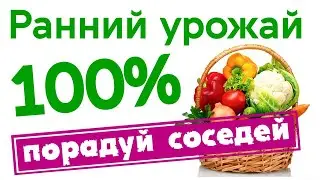 Ранний урожай. Порадуй соседей