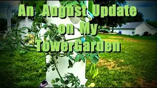 AUGUST UPDATE - REPLANTED TOWERGARDEN