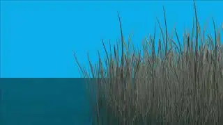 Tree green screen video, Green screen tree, tree green screen effect kinemaster, P-60