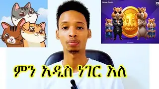 Catizen እንዴት ልስራ ?  Hamster Combat ልንከስር ነው ? New Announcement|| አዲስ መረጃ